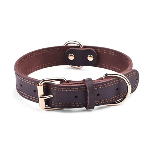 Dog Collars